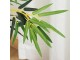 Planta artificiala Outsunny Bamboo 844-356 (Green)