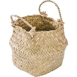 Planta artificiala ProGarden 49444 50cm (Eucalipt) Thumb