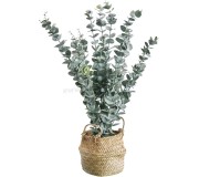 Planta artificiala ProGarden 49444 50cm (Eucalipt)