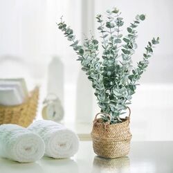 Planta artificiala ProGarden 49444 50cm (Eucalipt) Thumb