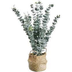 Planta artificiala ProGarden 49444 50cm (Eucalipt)