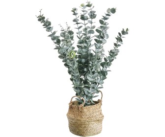 Planta artificiala ProGarden 49444 50cm (Eucalipt)