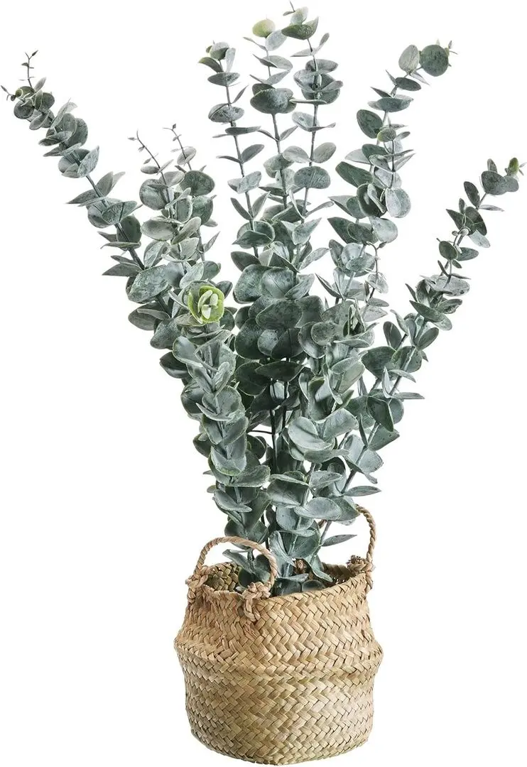 Planta artificiala ProGarden 49444 50cm (Eucalipt)