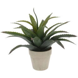 Растение искусственное Progarden Aloe 49435 25cm Thumb