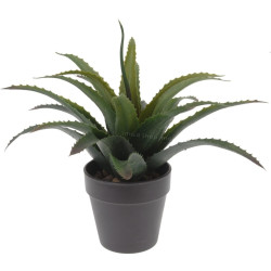 Растение искусственное Progarden Aloe 49435 25cm