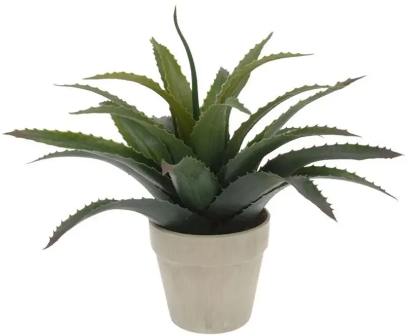 Растение искусственное Progarden Aloe 49435 25cm - 2
