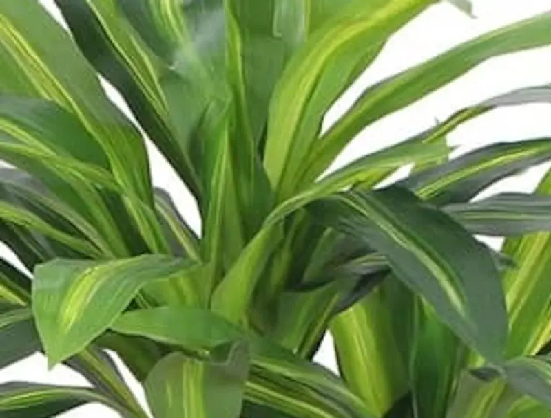 Planta artificiala VidaXL 244451 (Green)