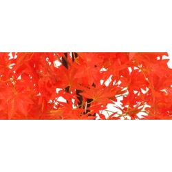 Искусственное дерево VidaXL 280195 (Red) Thumb