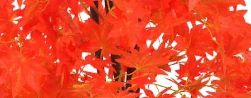 Искусственное дерево VidaXL 280195 (Red)