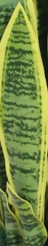 Planta artificiala VidaXL 244428 (Green)