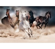 Tablou Signal Horses 120x80