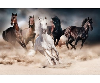 Tablou Signal Horses 120x80