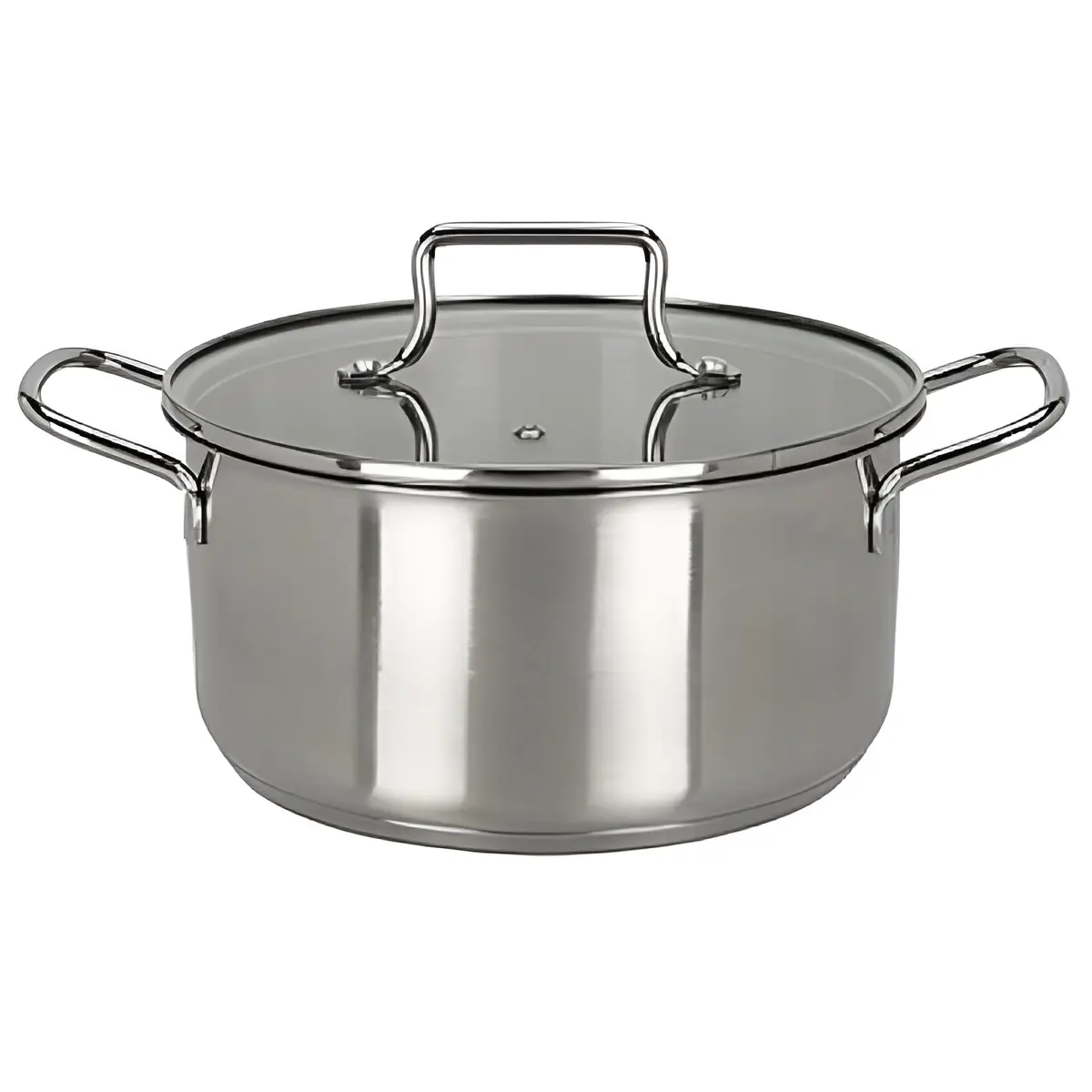 Oala cu capac Excellent Houseware 55421 (Inox)