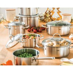 Кастрюля с крышкой Fissler Paris D24 (Inox) Thumb