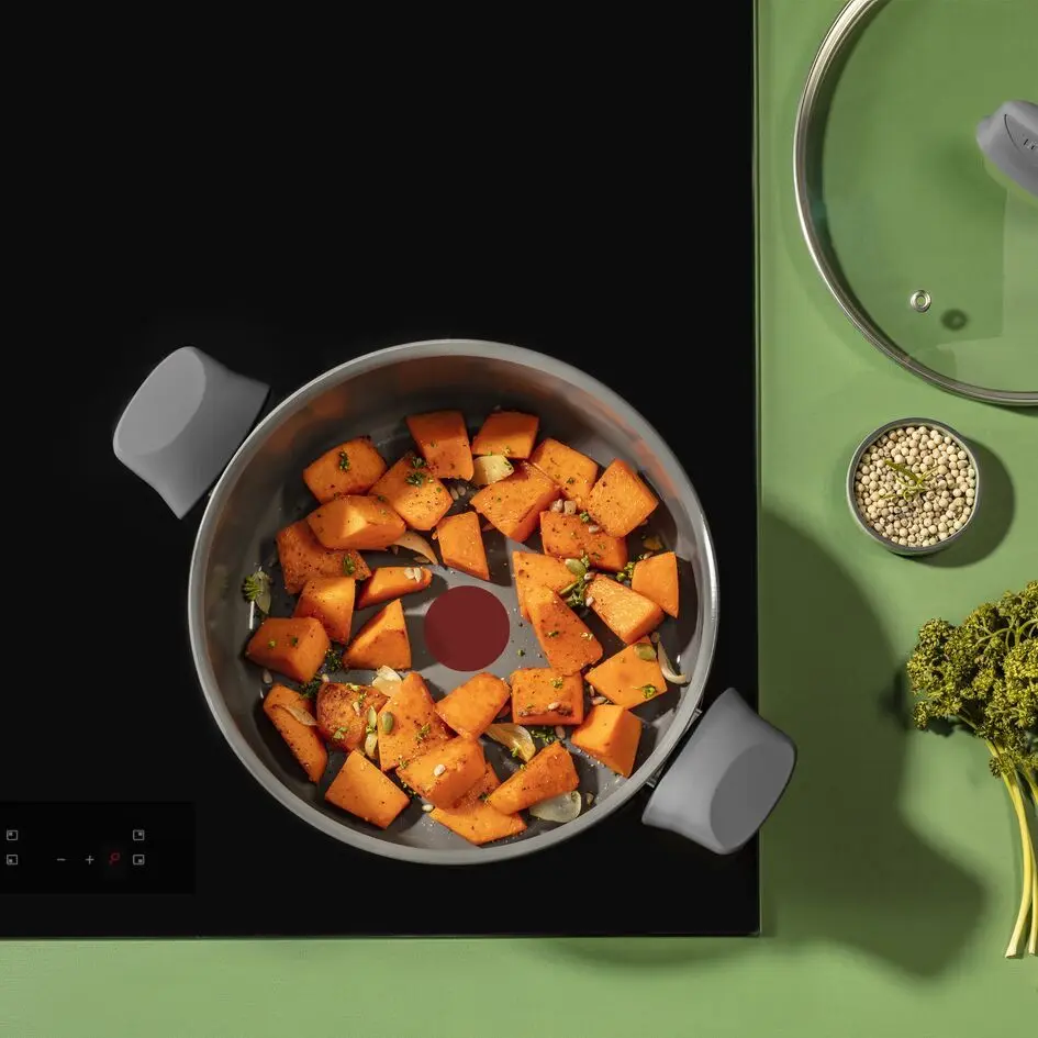 Oala cu capac Tefal Renewal C4264673 (Grey)