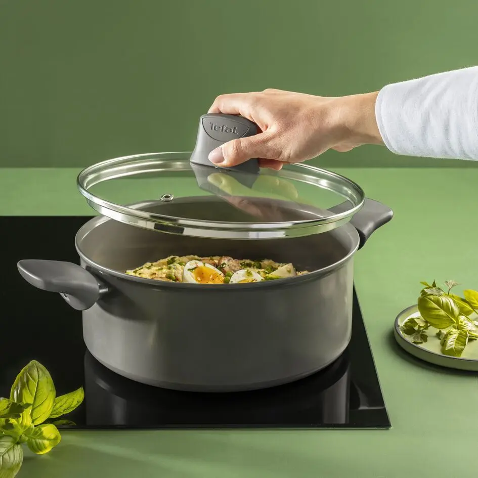 Oala cu capac Tefal Renewal C4264673 (Grey)