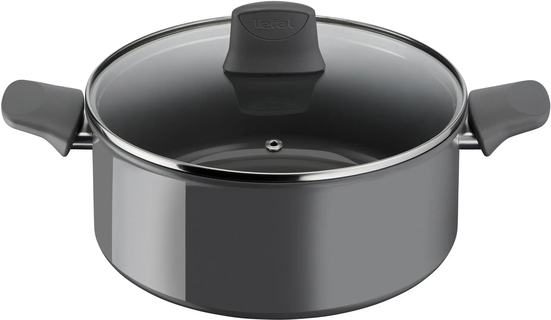 Oala cu capac Tefal Renewal C4264673 (Grey)