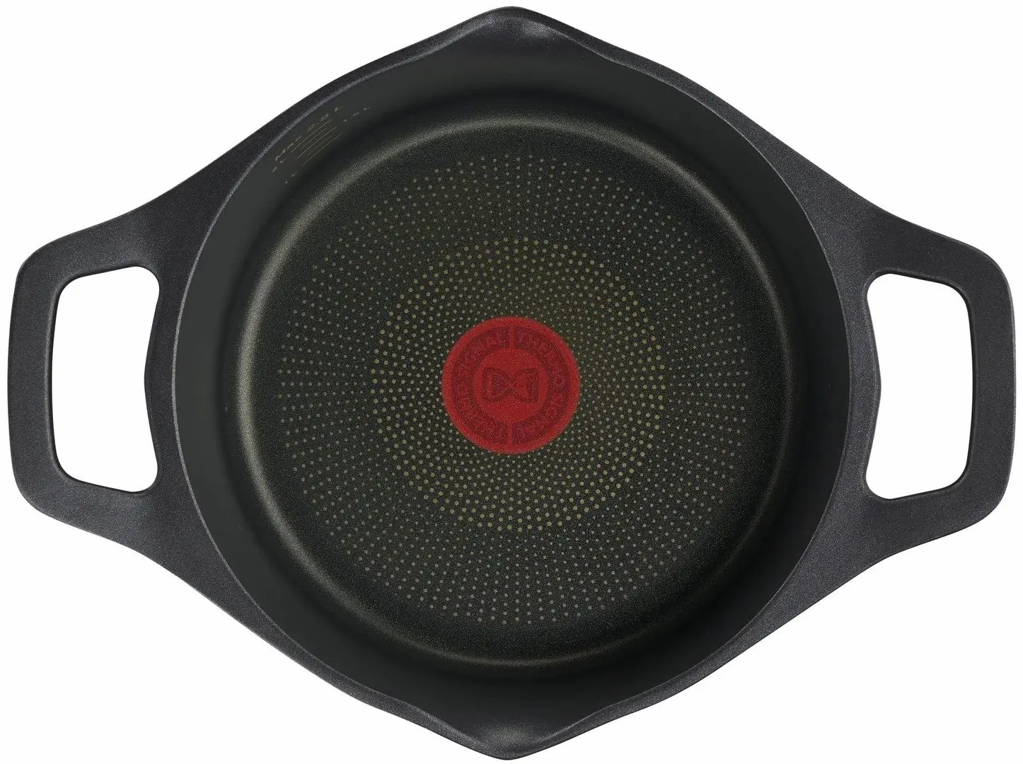 Oala cu capac Tefal Robusto E2494444 (Black)