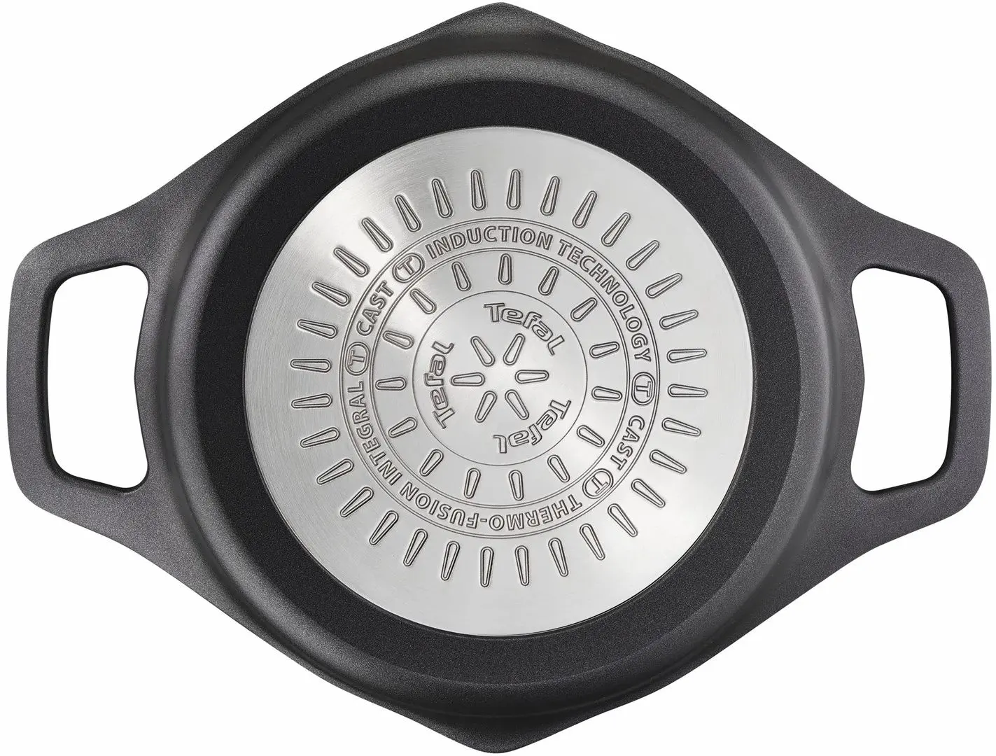 Oala cu capac Tefal Robusto E2494444 (Black)