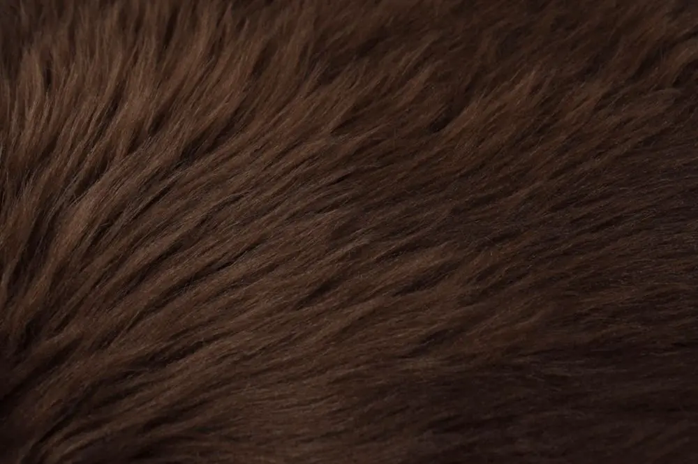 Covoras decorativ Mobhaus Ebony Typ 3 60x90 (Brown)