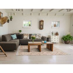 Covor Mobhaus Nesrin 80x150 (Beige) Thumb