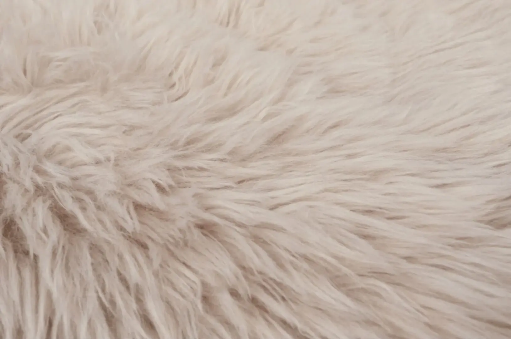 Декоративный коврик Tempo Kondela Ebony Typ 2 60x90 (Beige)