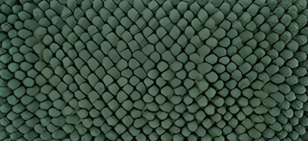 Covoras pentru baie Tendance 47256 50x80cm (Olive)