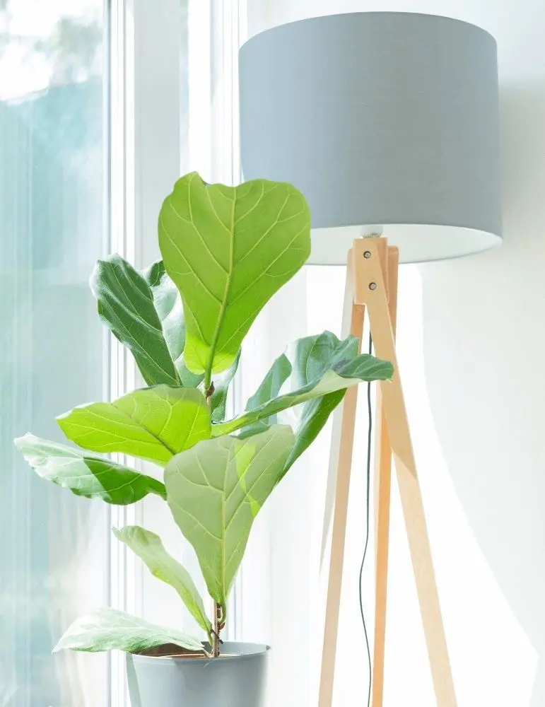 Светильник напольный Mobhaus Lila Typ 7 LS2062 (Gray/Natural) - 2