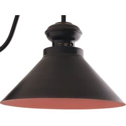 Настенный светильник Vesta light Loft 19381 (Black) Thumb