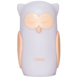 Настольная лампа Marko Owl OLB-XY-GR (White) Thumb