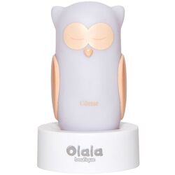 Настольная лампа Marko Owl OLB-XY-GR (White)