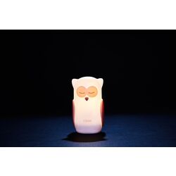 Настольная лампа Marko Owl OLB-XY-GR (White) Thumb