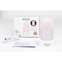 Настольная лампа Marko Owl OLB-XY-GR (White) Thumb