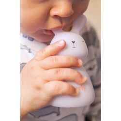 Настольная лампа Marko Rabbit Charly OLB-XY-GR (Pink) Thumb