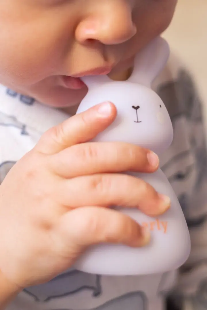 Настольная лампа Marko Rabbit Charly OLB-XY-GR (Pink)