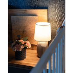 Настольная лампа Mobhaus Qenny Typ 3 AT15556 (Gray) Thumb