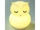 Lampa de noapte OEM/ODM Cute Owl (White)