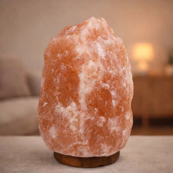 Lampa de sare Procart Himalaya Salt10-12 (Wood) Thumb