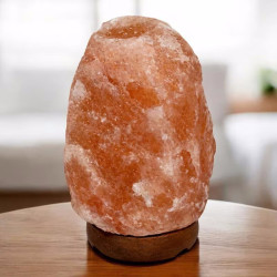 Lampa de sare Procart Himalaya Salt2-3 (Wood) Thumb