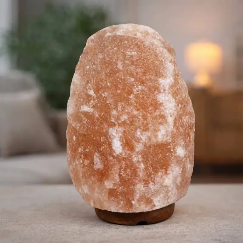 Lampa de sare Procart Himalaya Salt4-5 (Wood) - 2