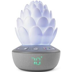 Музыкальный ночник Skip Hop Terra Cry (Gray/White)