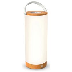 Аккумуляторная светодиодная лампа TaoTronics TT-DL23 Pro