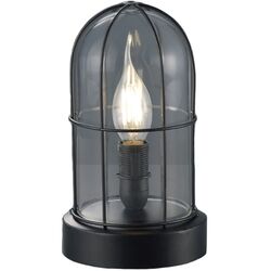 Настольная лампа Trio Birte (Black)