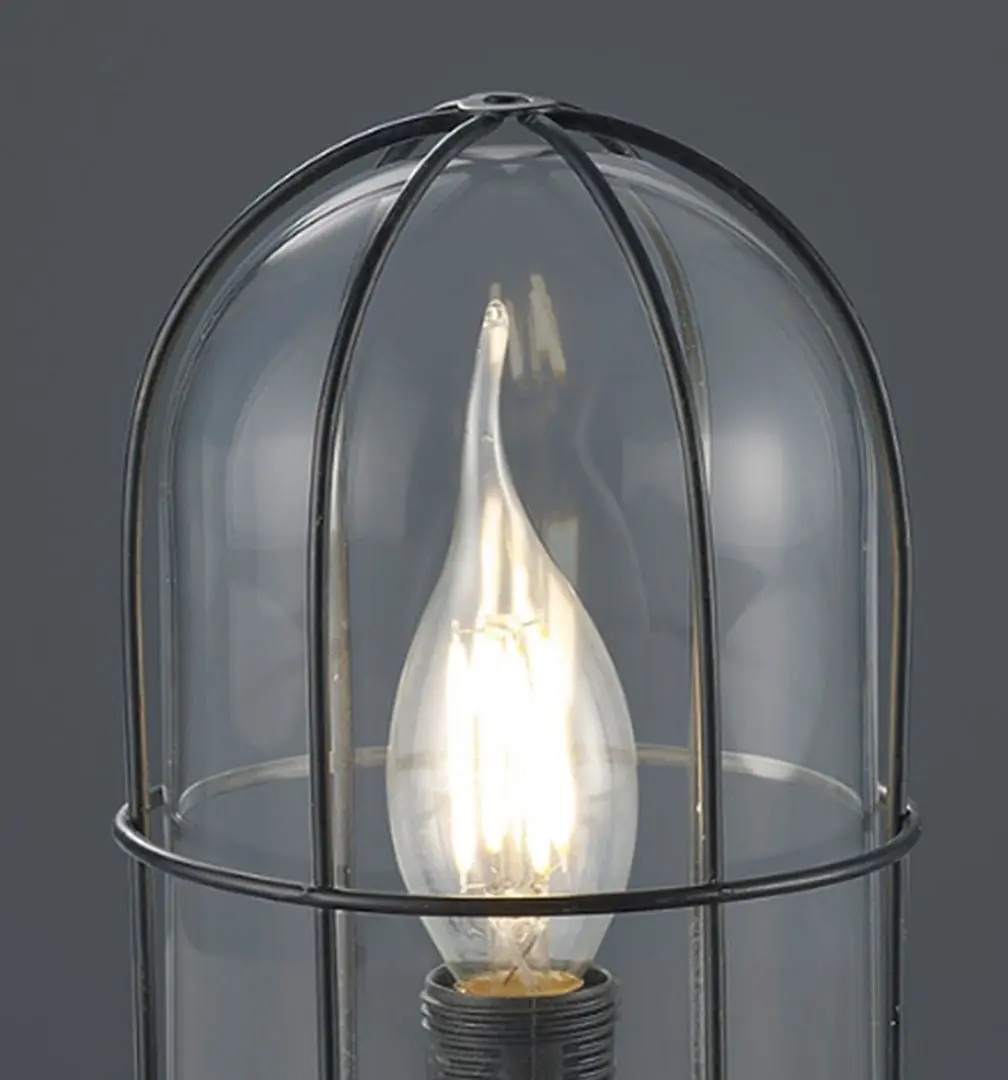 Настольная лампа Trio Birte (Black)