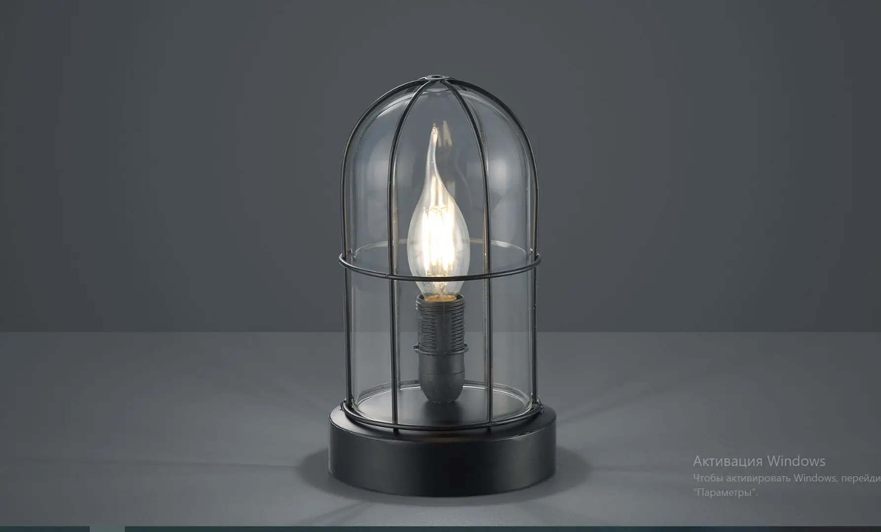 Настольная лампа Trio Birte (Black)