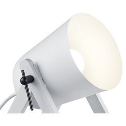 Настольная лампа Trio Marc (White) Thumb