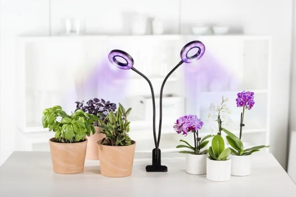 Лампа-клипса Xavax Circle 112696 (Black)