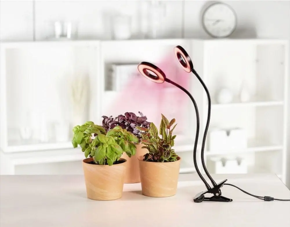 Лампа-клипса Xavax Circle 112696 (Black)