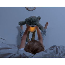 Ночник Zazu Brody the bear (Blue) Thumb