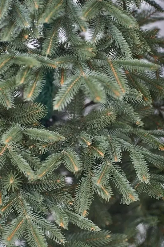 Елка Divi Trees American Silicon Small 1.8м